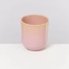 Motel a Miio Kleine Becher^Copa Alto Becher Klein Gelb Rose