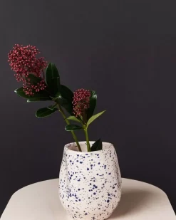 Motel a Miio Vasen^Joao Vase M Rose Blau Gesprenkelt